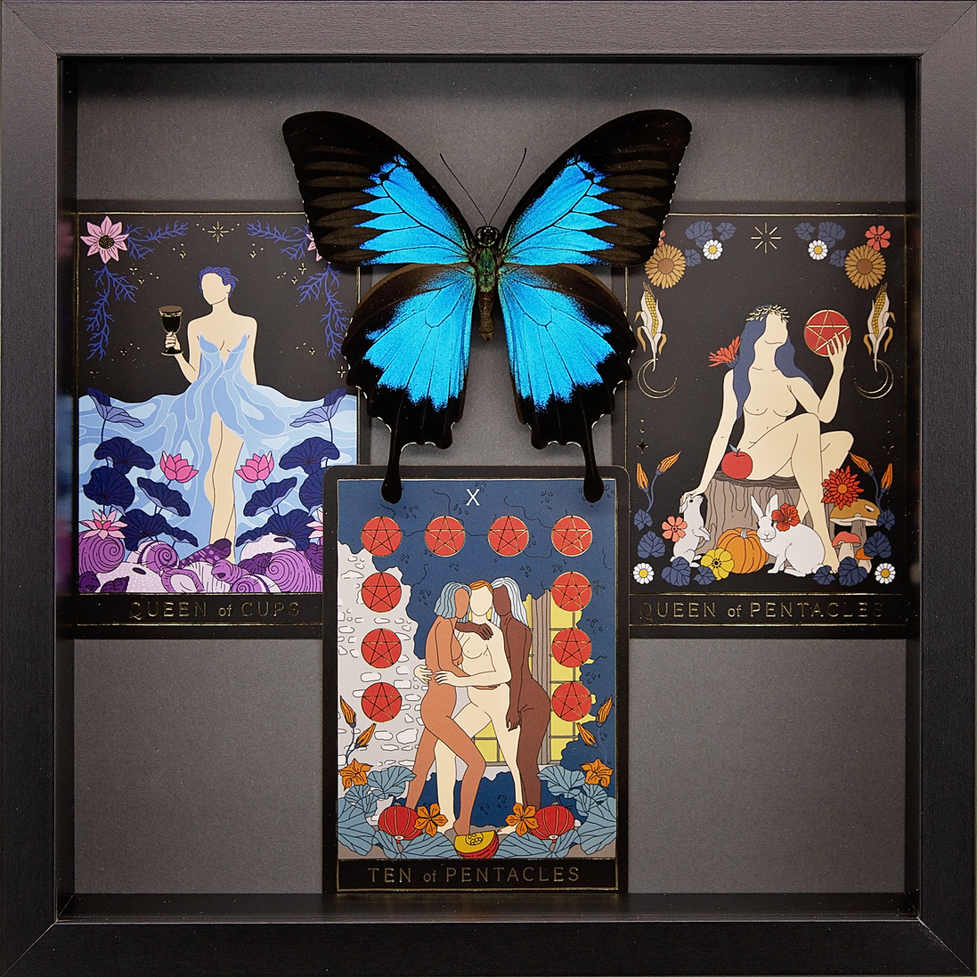 Blue Mountain Swallowtail
