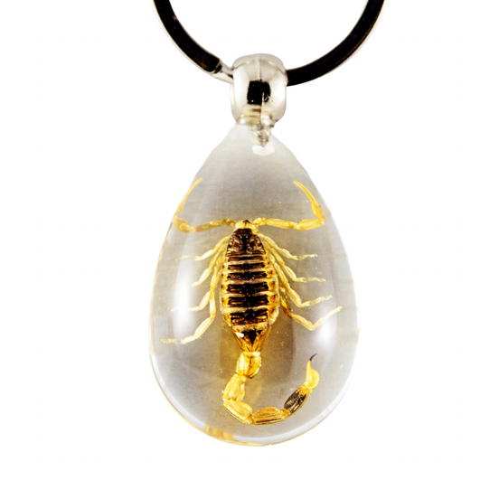 Yellow Scorpion Keychain