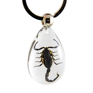 Black Scorpion Keychain