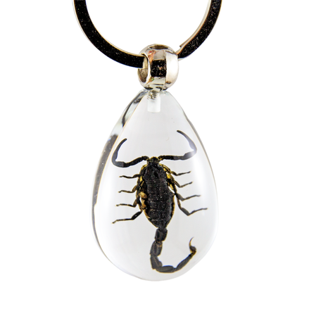 Black Scorpion Keychain