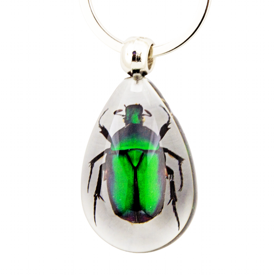 Green Chafer Beetle Keychain
