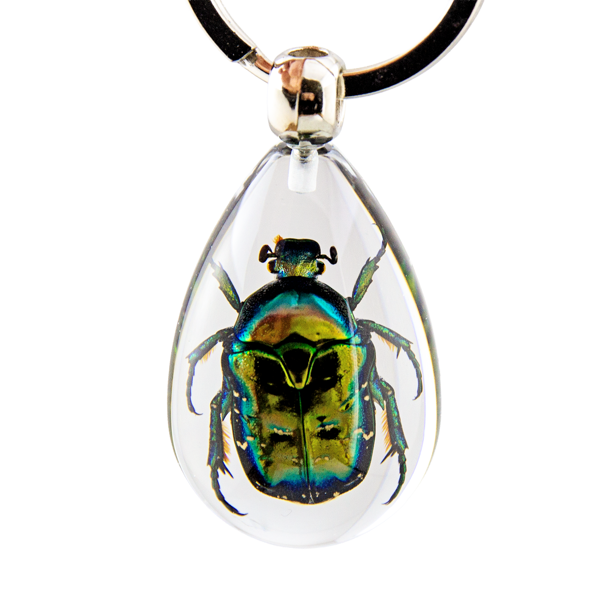 European Rose Chafer Beetle Keychain