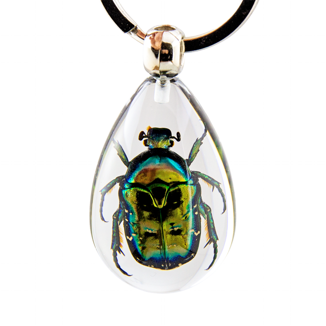 European Rose Chafer Beetle Keychain