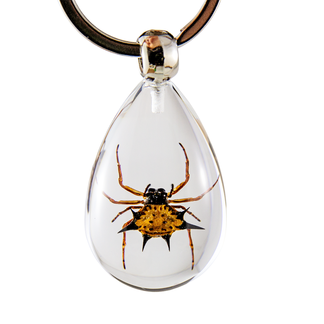 Spiny Spider Keychain