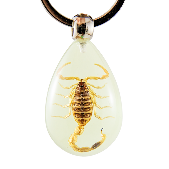 Yellow Scorpion Keychain