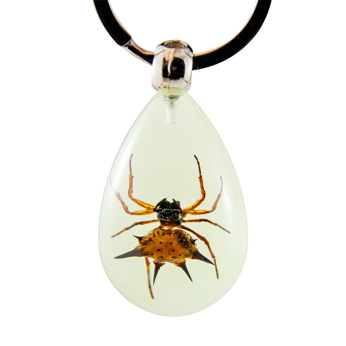 Spiny Spider Keychain