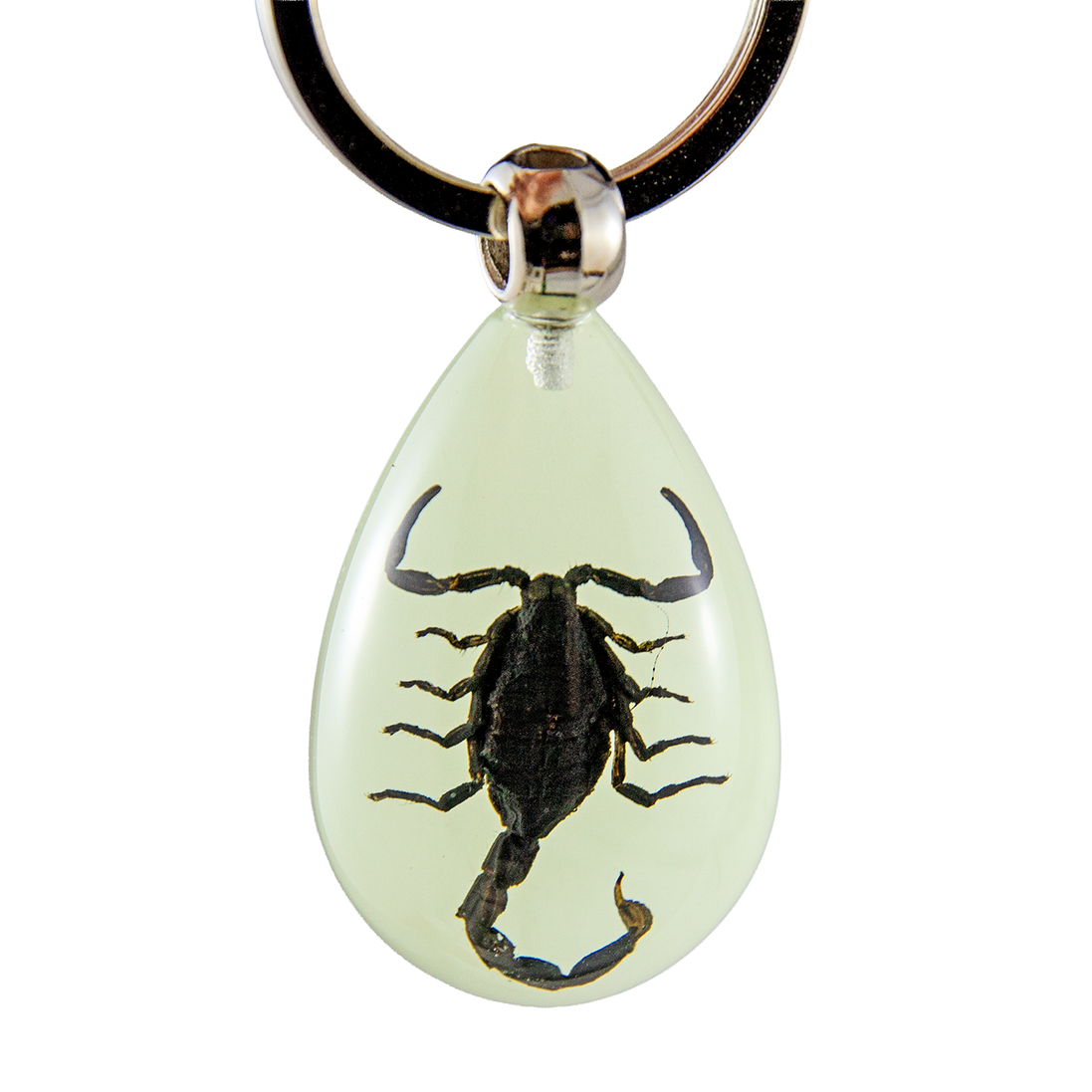 Black Scorpion Keychain
