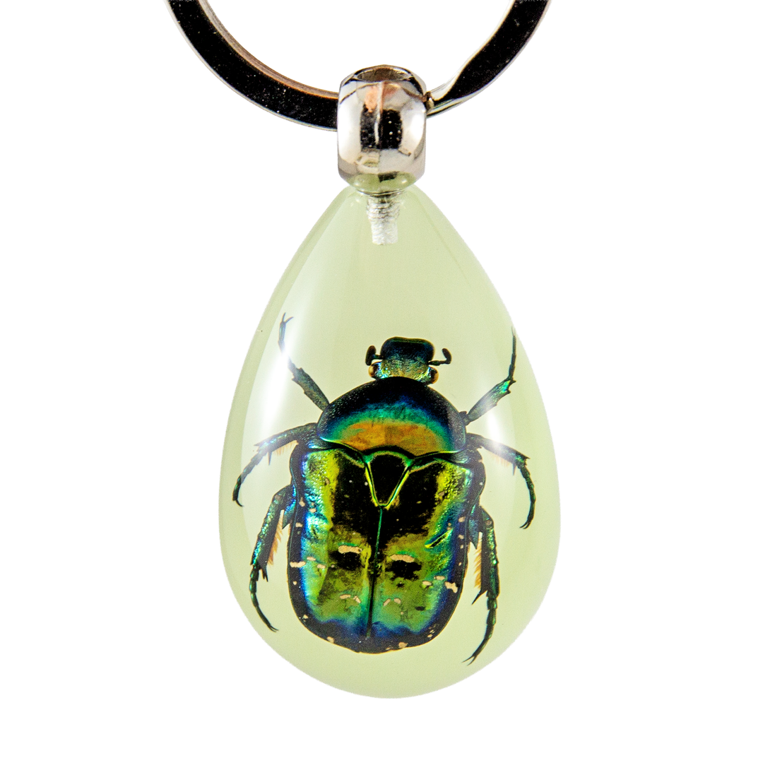 European Rose Chafer Beetle Keychain