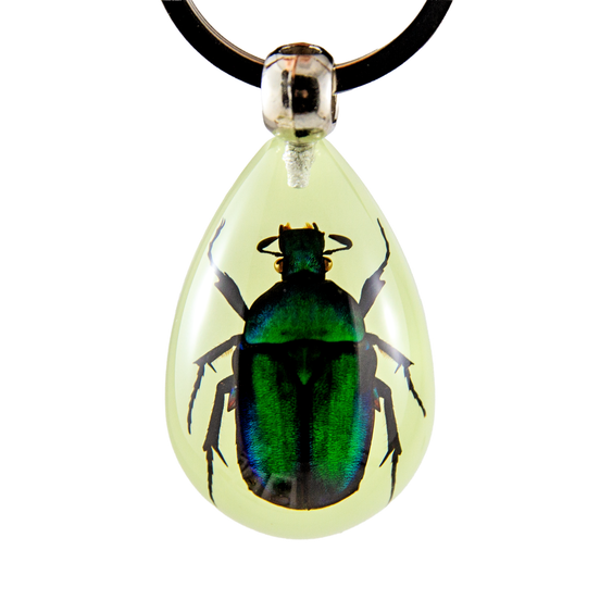 Green Chafer Beetle Keychain