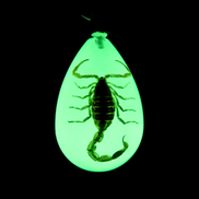 Yellow Scorpion Keychain