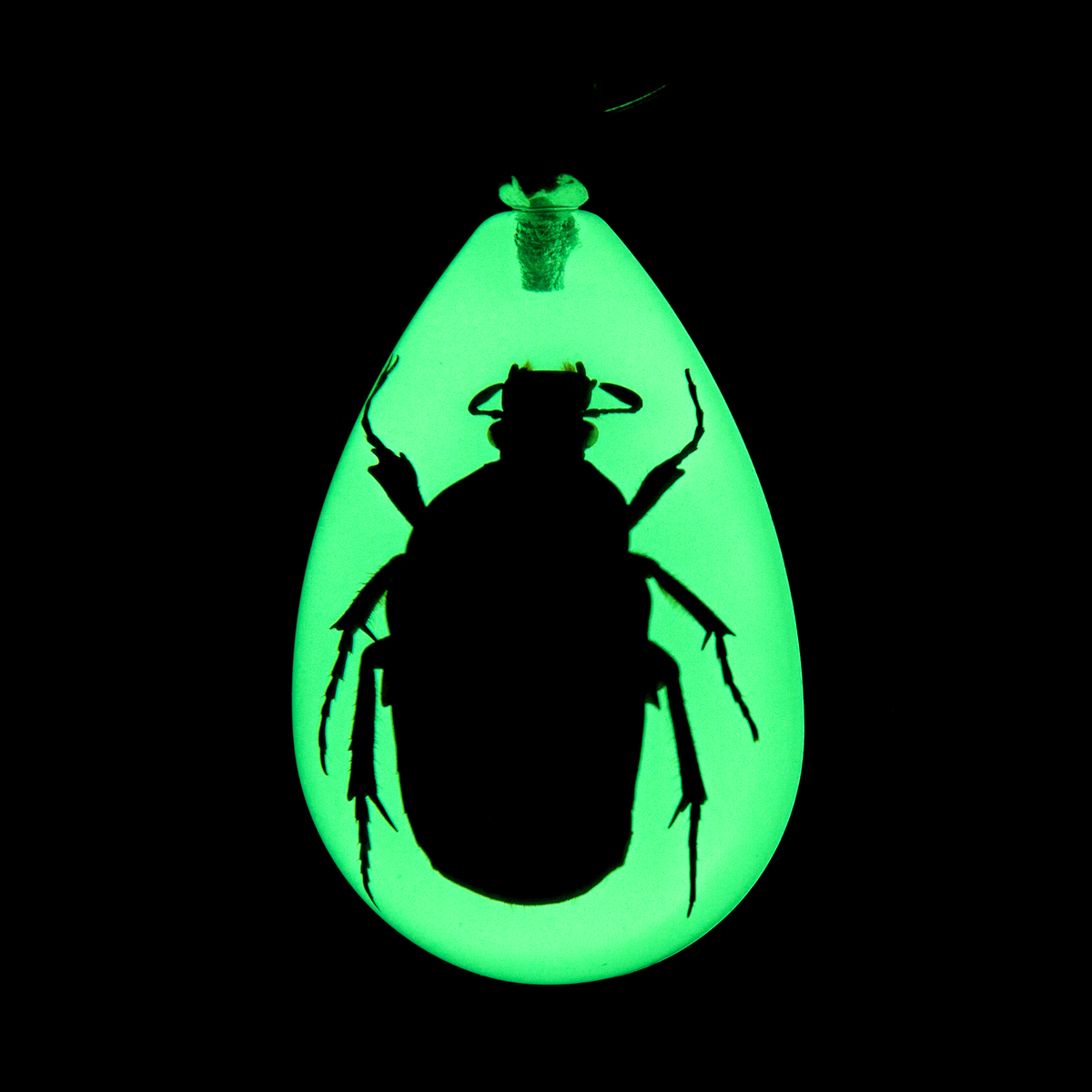 Green Chafer Beetle Keychain