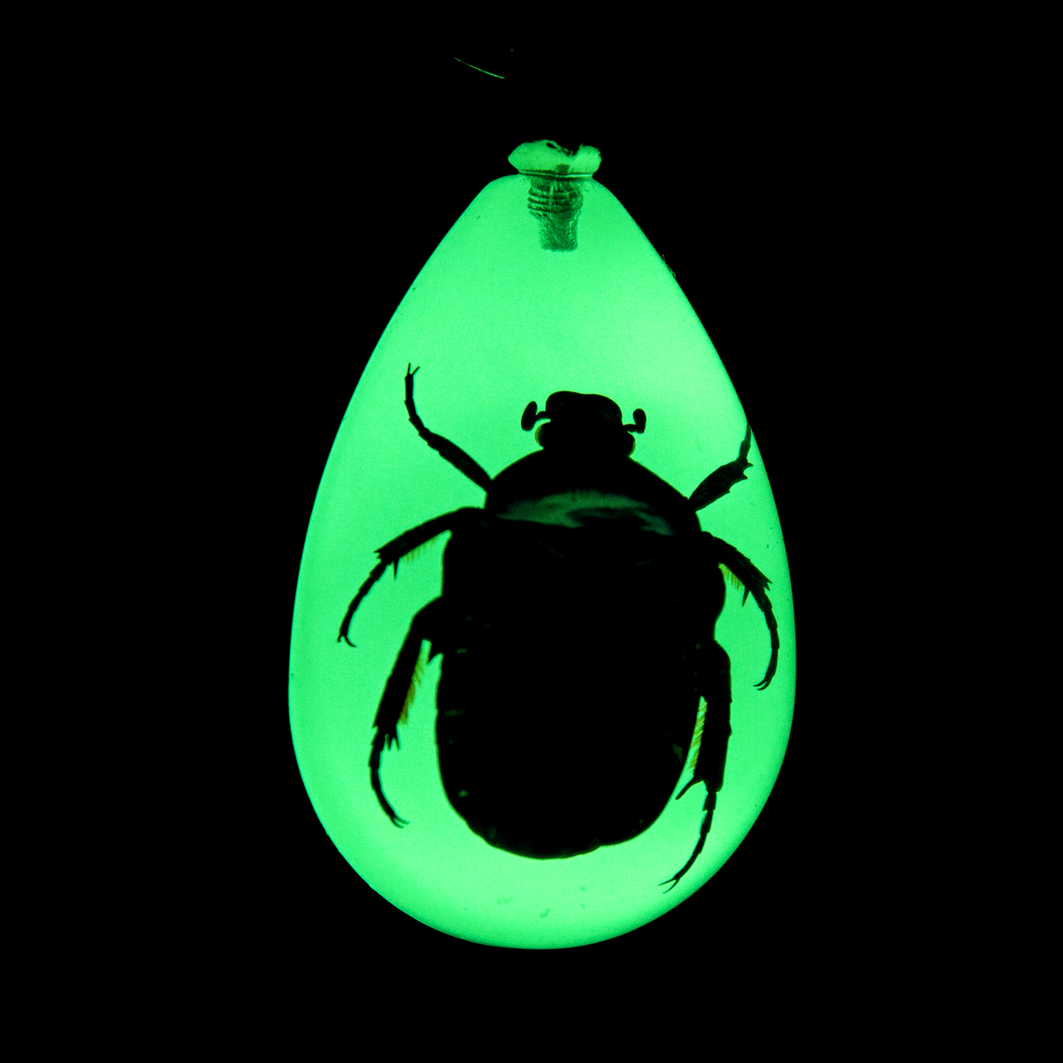 European Rose Chafer Beetle Keychain