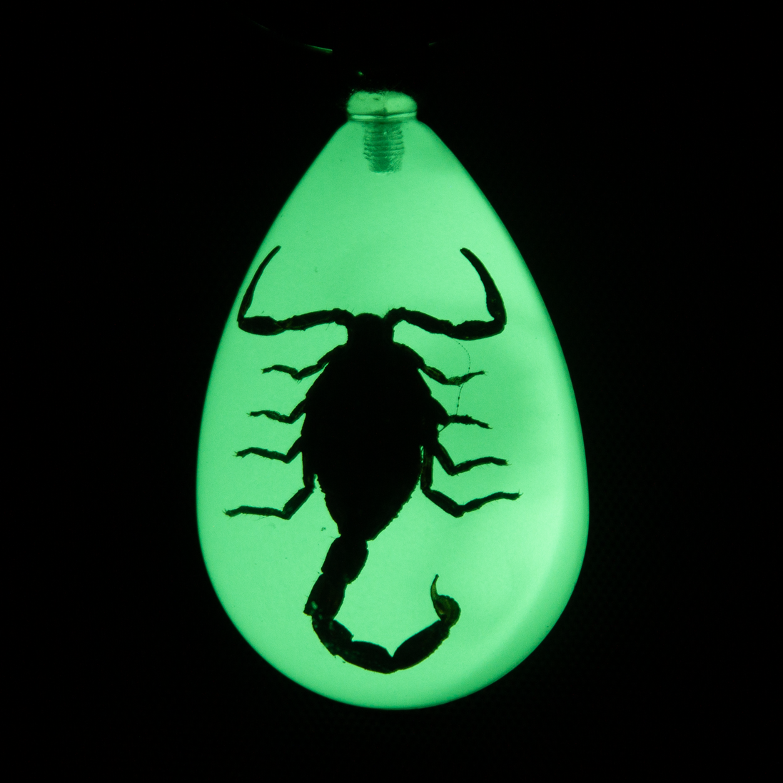 Black Scorpion Keychain
