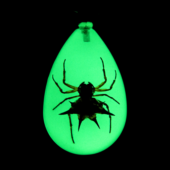 Spiny Spider Keychain